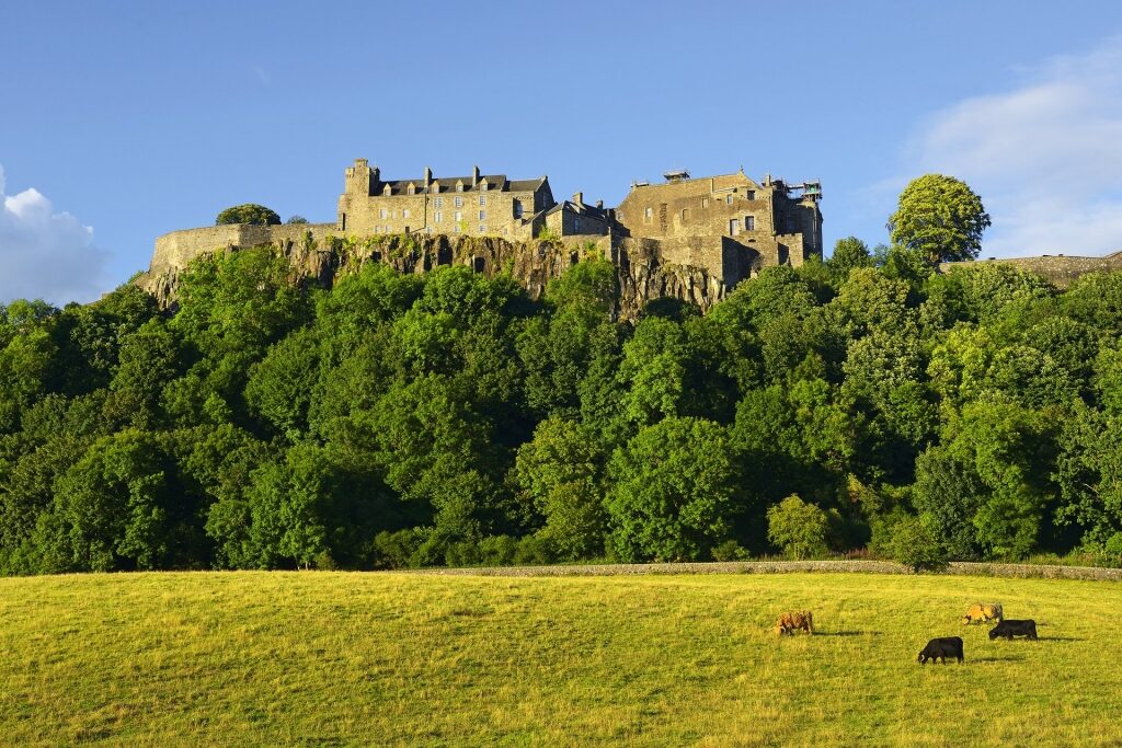 Stirling Castle surrounded by lush greenery