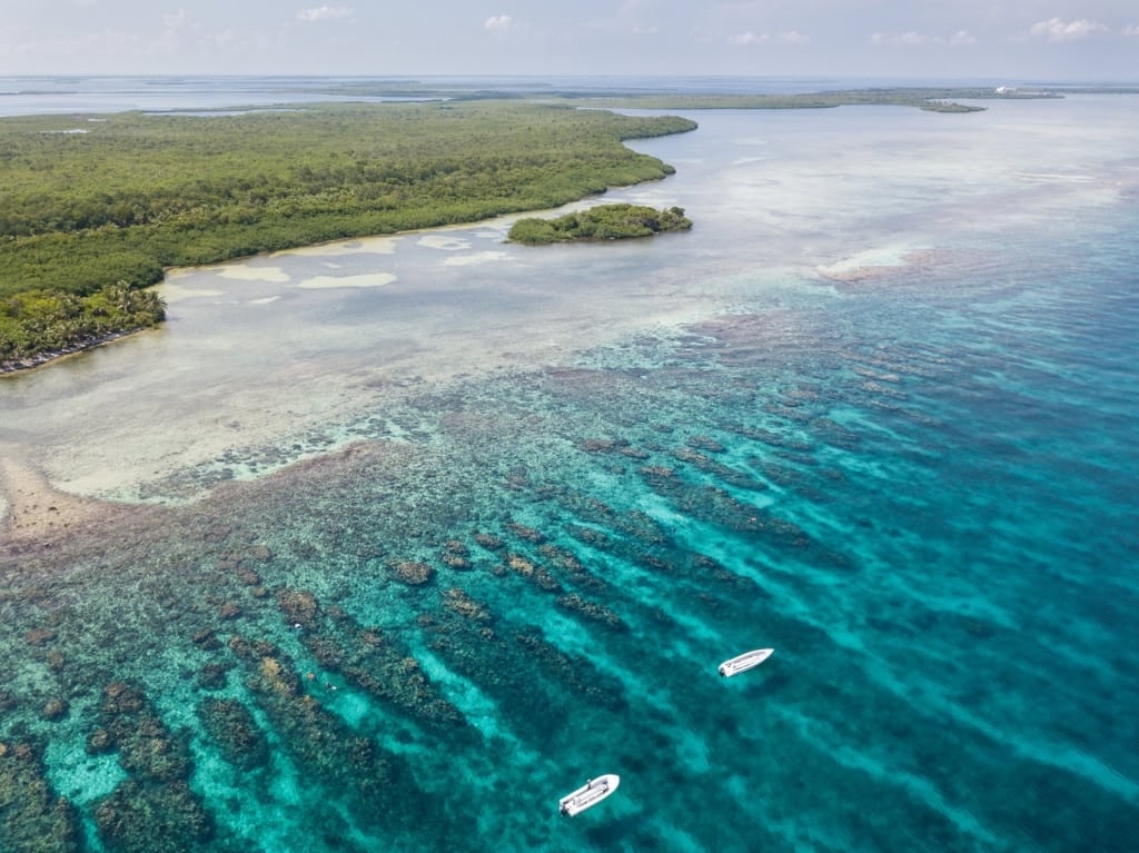 Aerial view of Turneffe Atoll with clear blue water