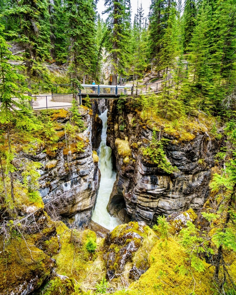 Beautiful view of Maligne Canyon with bridge and falls