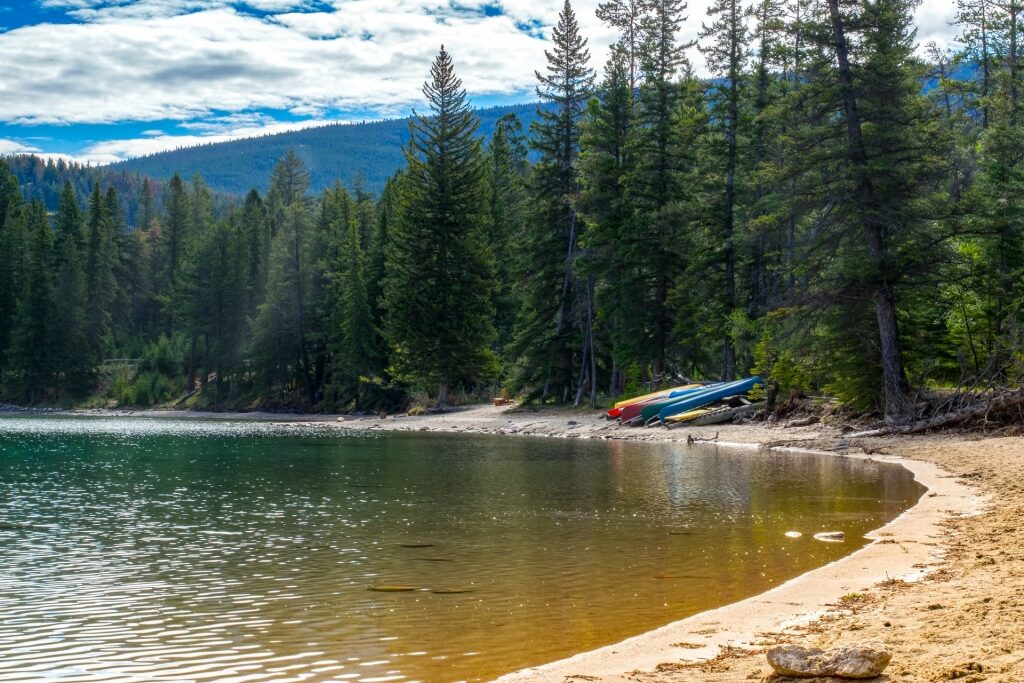 Trees towering over Pyramid Lake