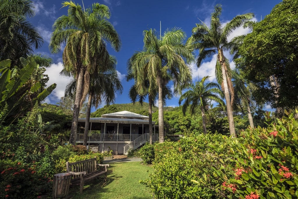 Lush landscape of J.R. O'Neal Botanical Garden