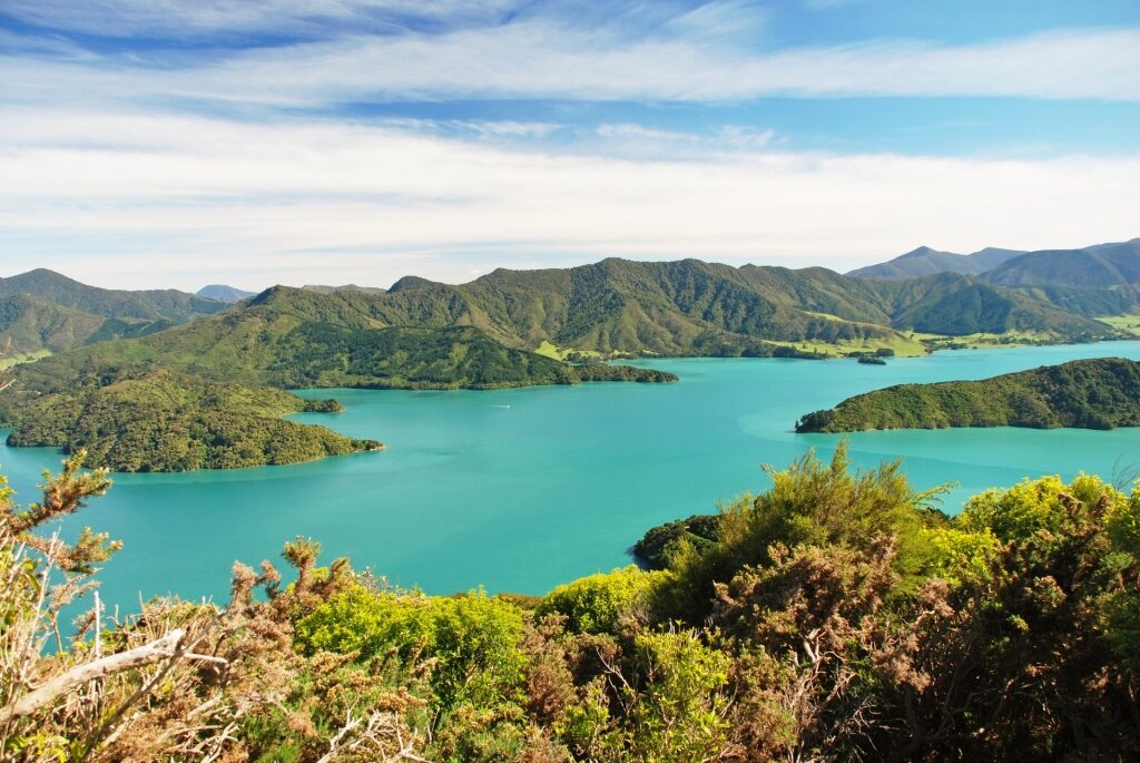 Beautiful view of Queen Charlotte Sounds