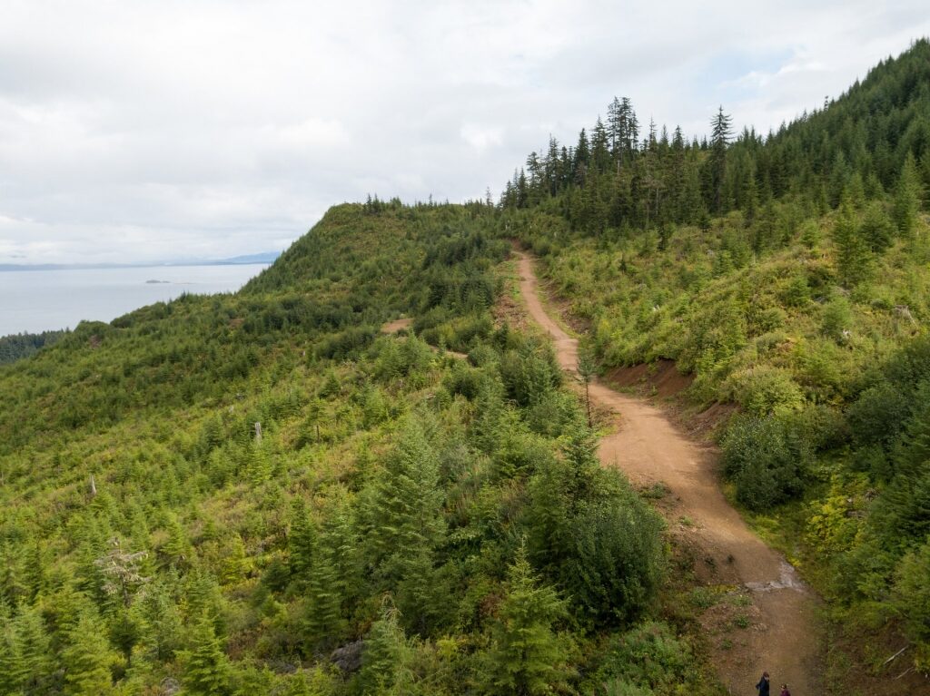 Trail in Chichagof Island