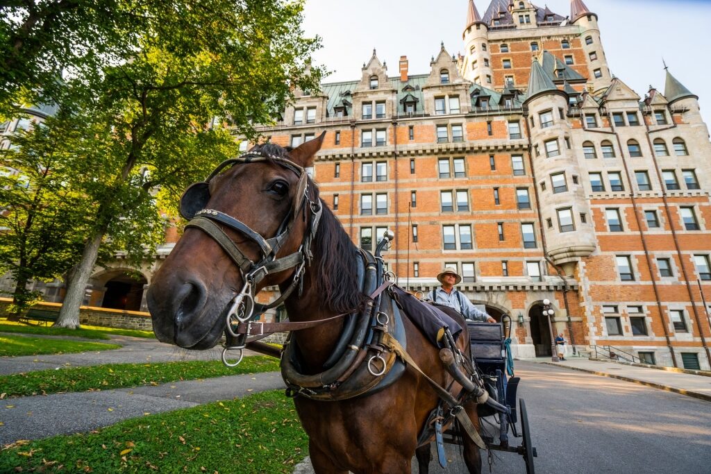 Horse-drawn carriage in Quebec with view of Chateau Frontenac