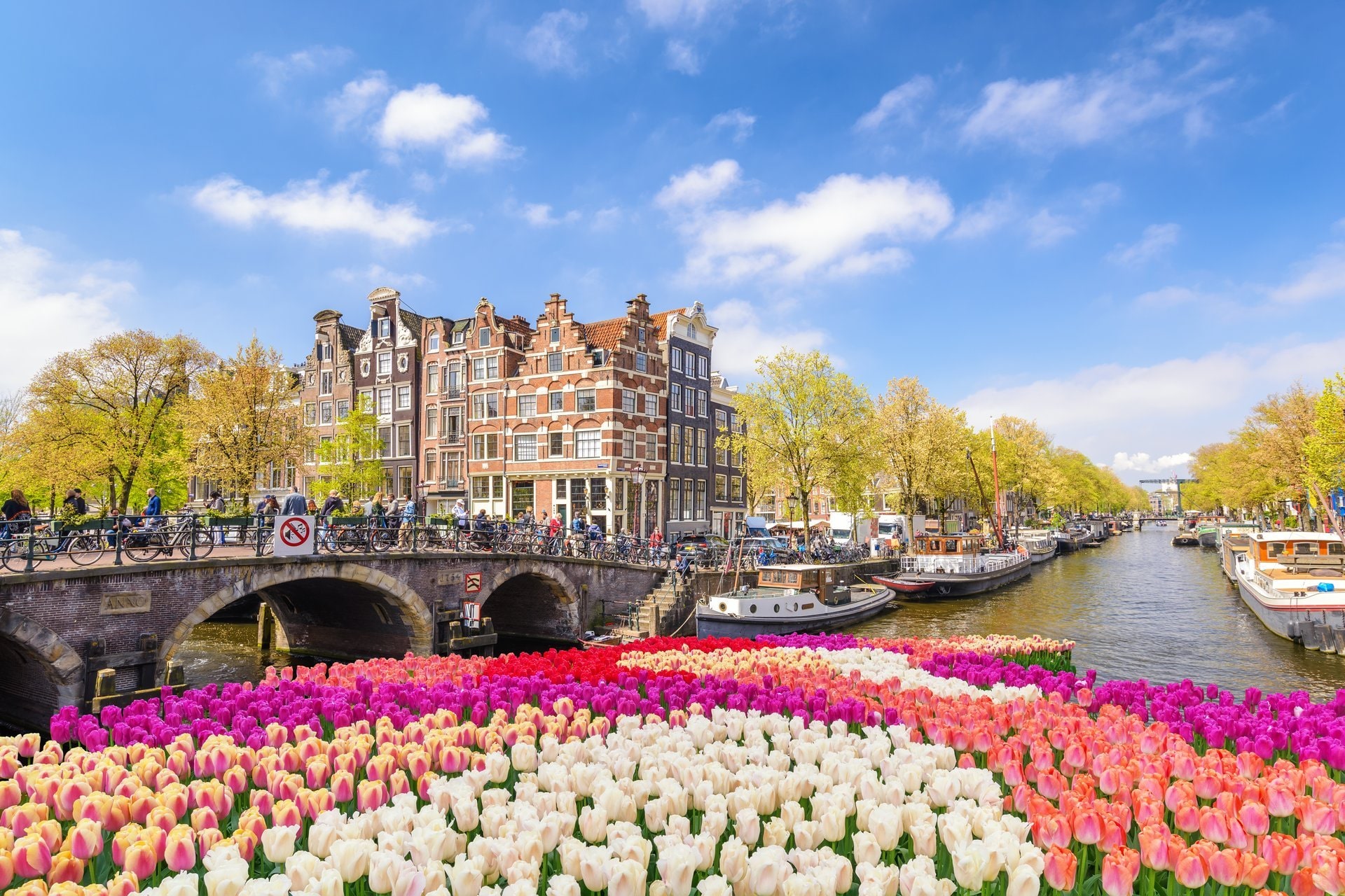 amsterdam day tour packages