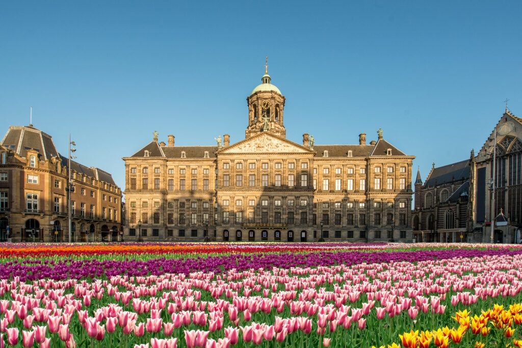 Beautiful Royal Palace with colorful tulips