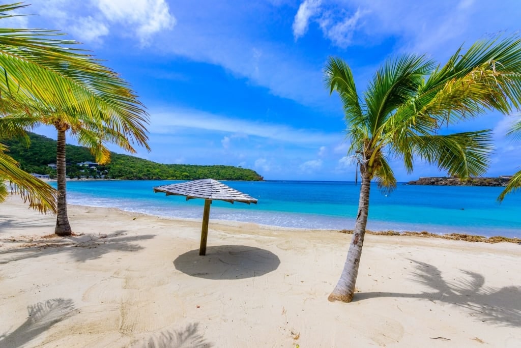 Pristine Galleon Beach with palm trees