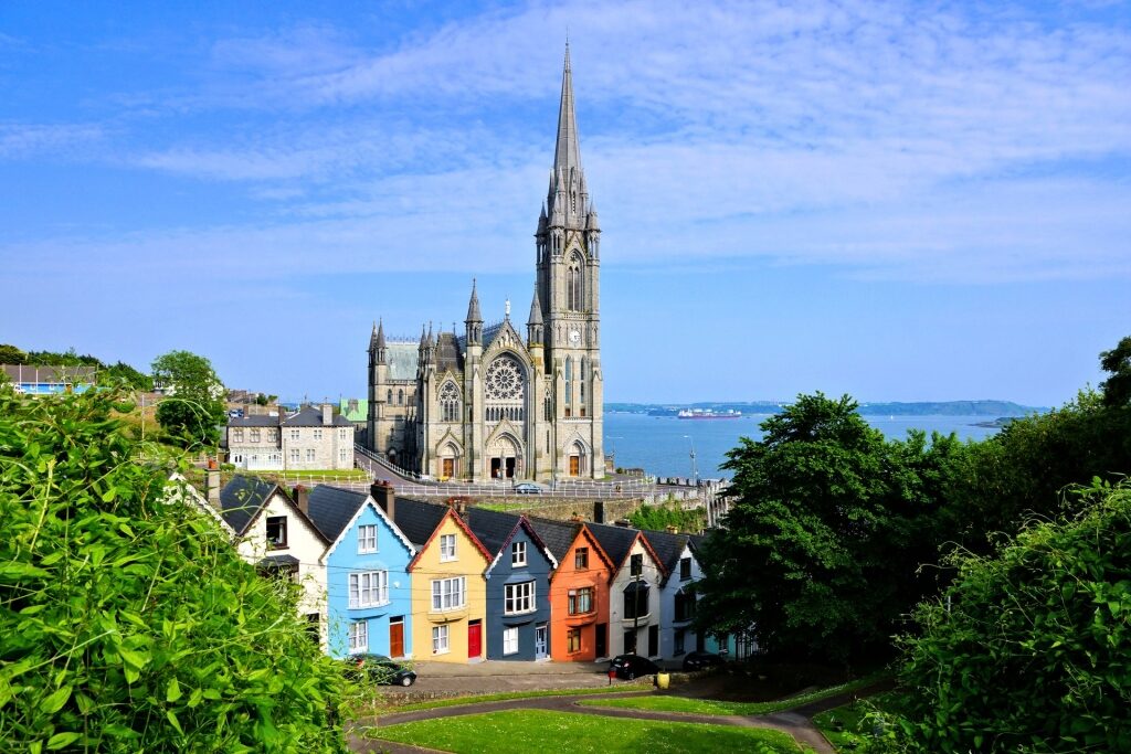 View of houses in Cork with cathedral as backdrop
