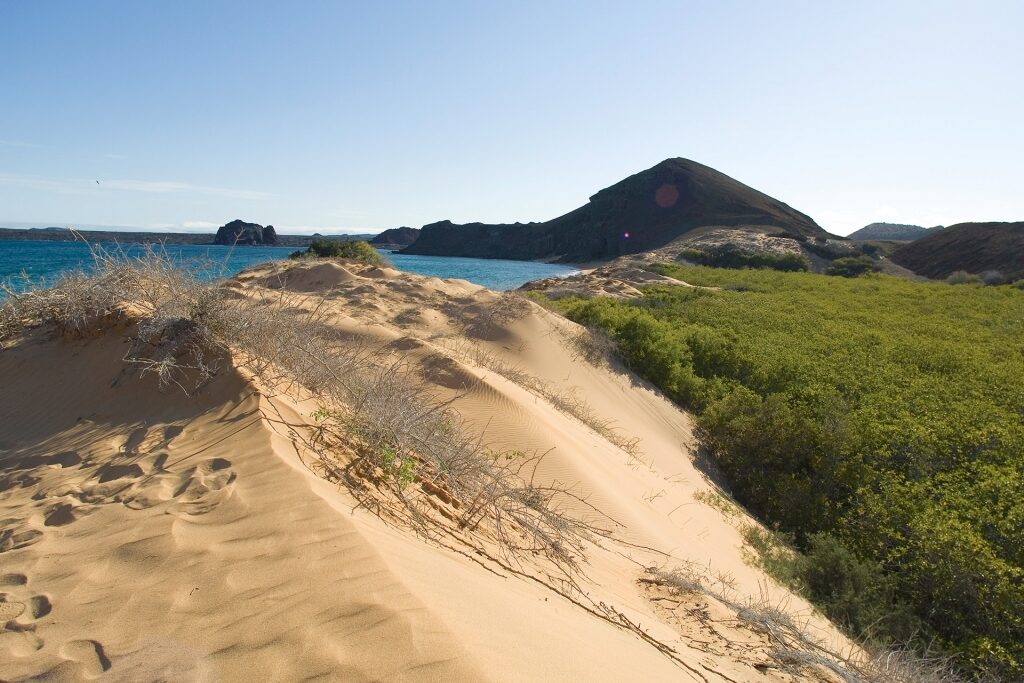 Sandy shore in Galapagos with mountain as backdrop