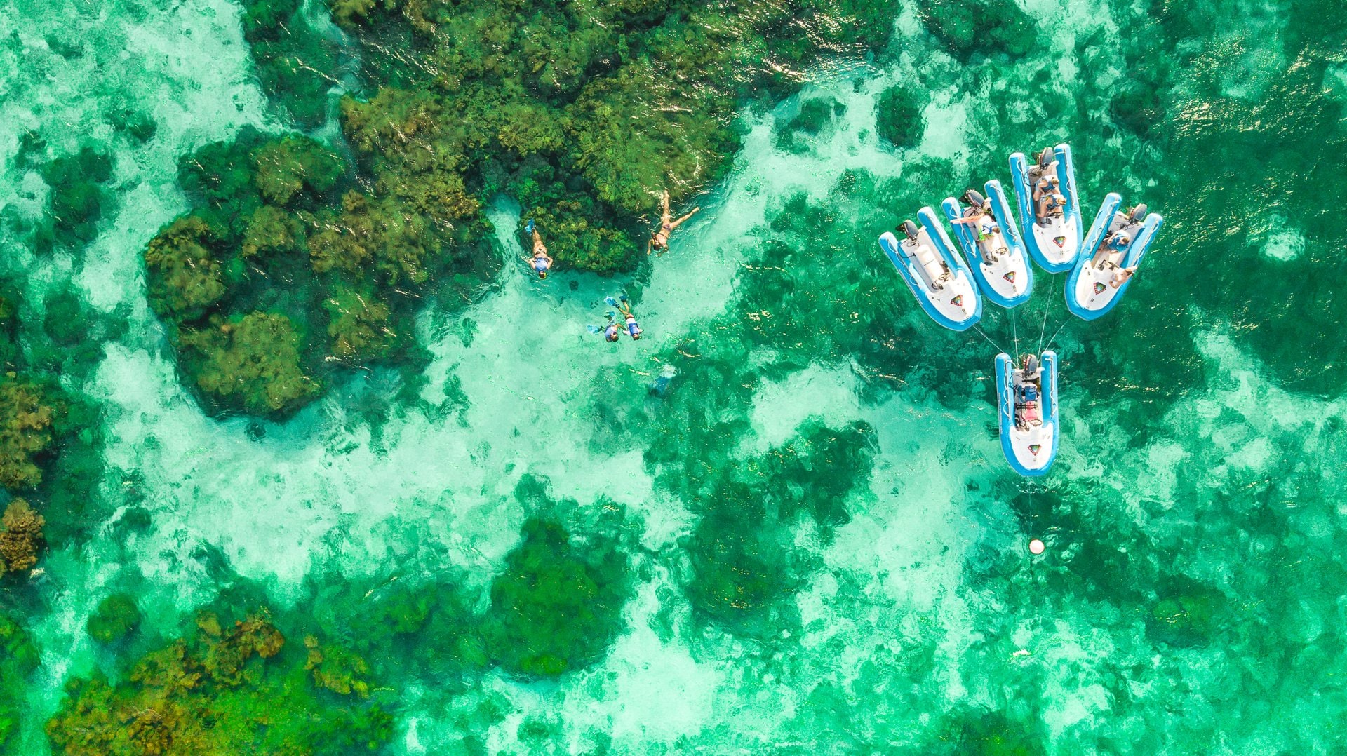 24 Best Things to Do in Antigua | Celebrity Cruises