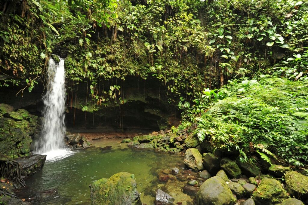 Emerald Waterfall in Dominica