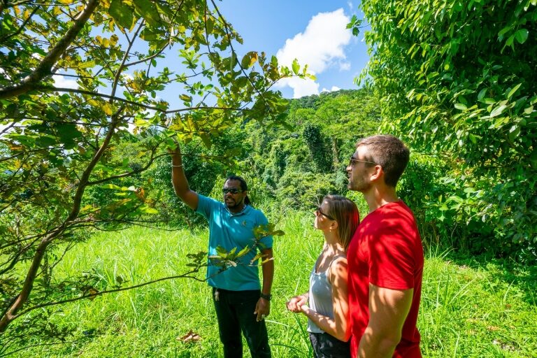 Where to Find the Best Hiking in the Caribbean Celebrity Cruises