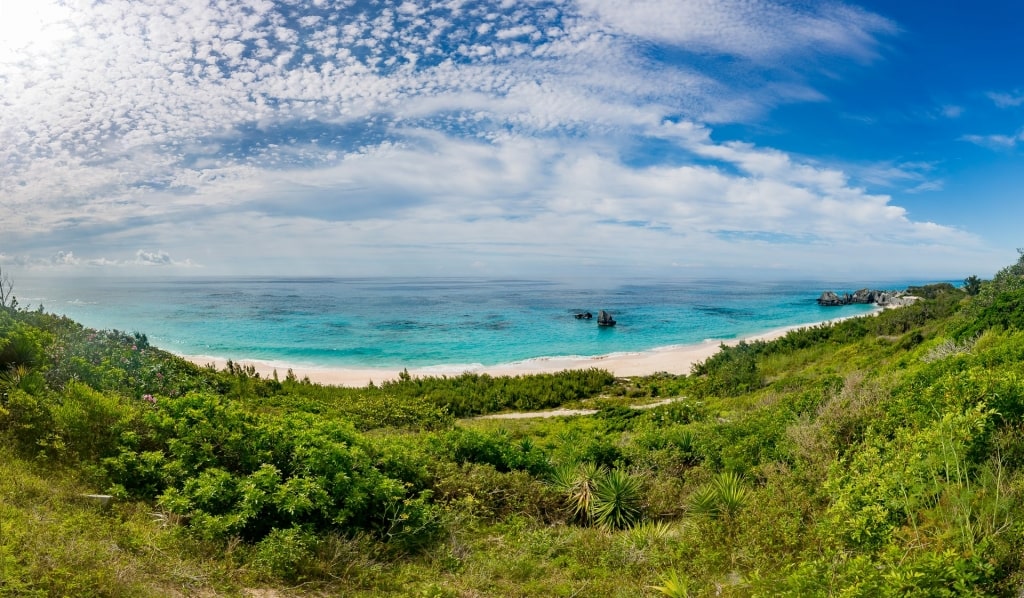 Beautiful view of Horseshoe Bay Cove on a sunny day