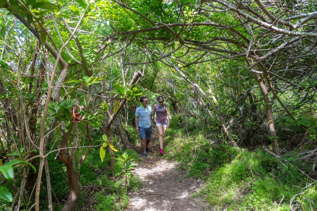 Couple hiking along the Railway Trail