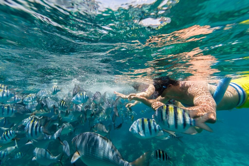 Couple snorkeling in Bermuda with fishes