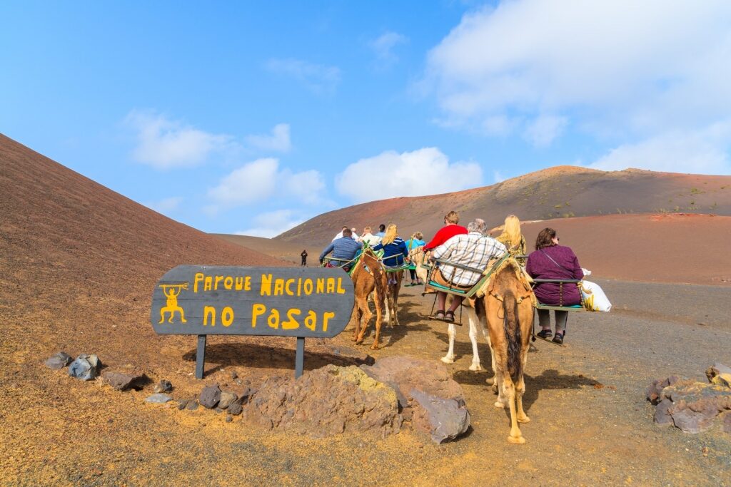 Camel ride through Timanfaya National Park in Lanzarote, Canary Islands
