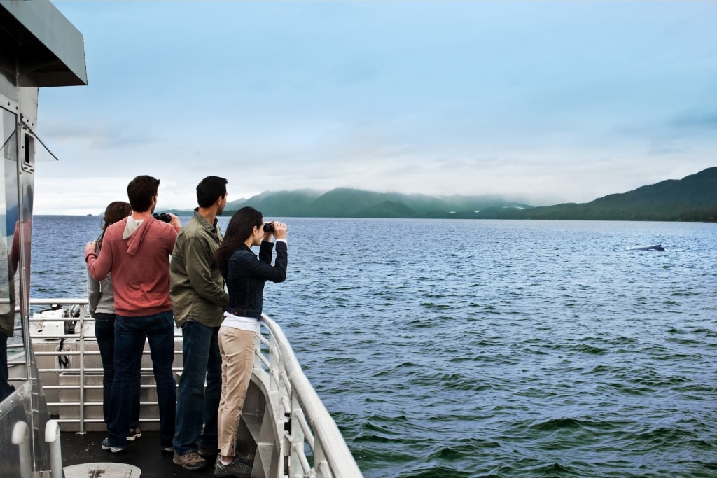 People whale-watching in Alaska