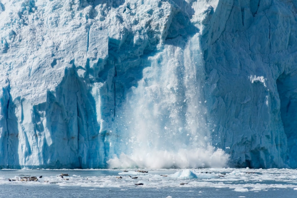 Calving of Aialik Glacier