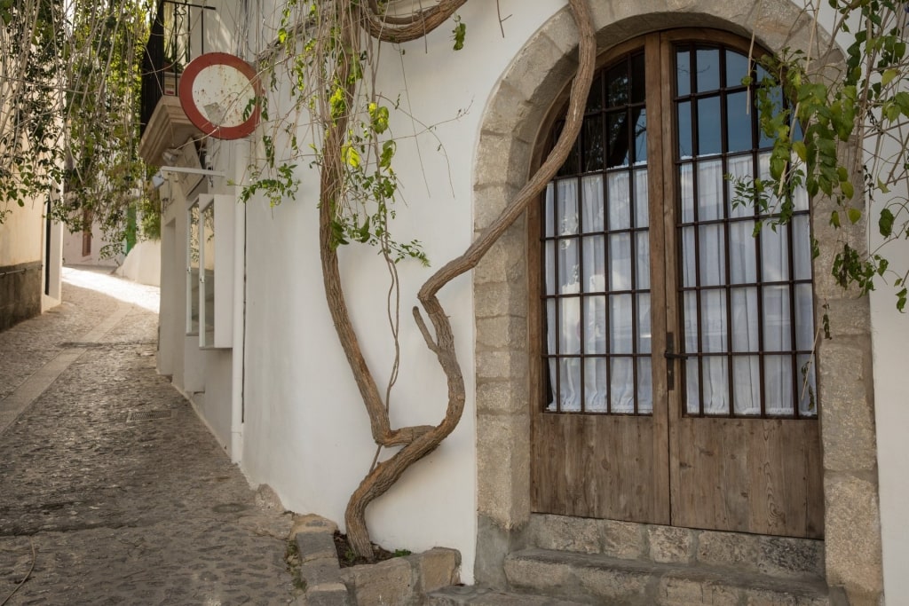 Cobbled street of Dalt Vila