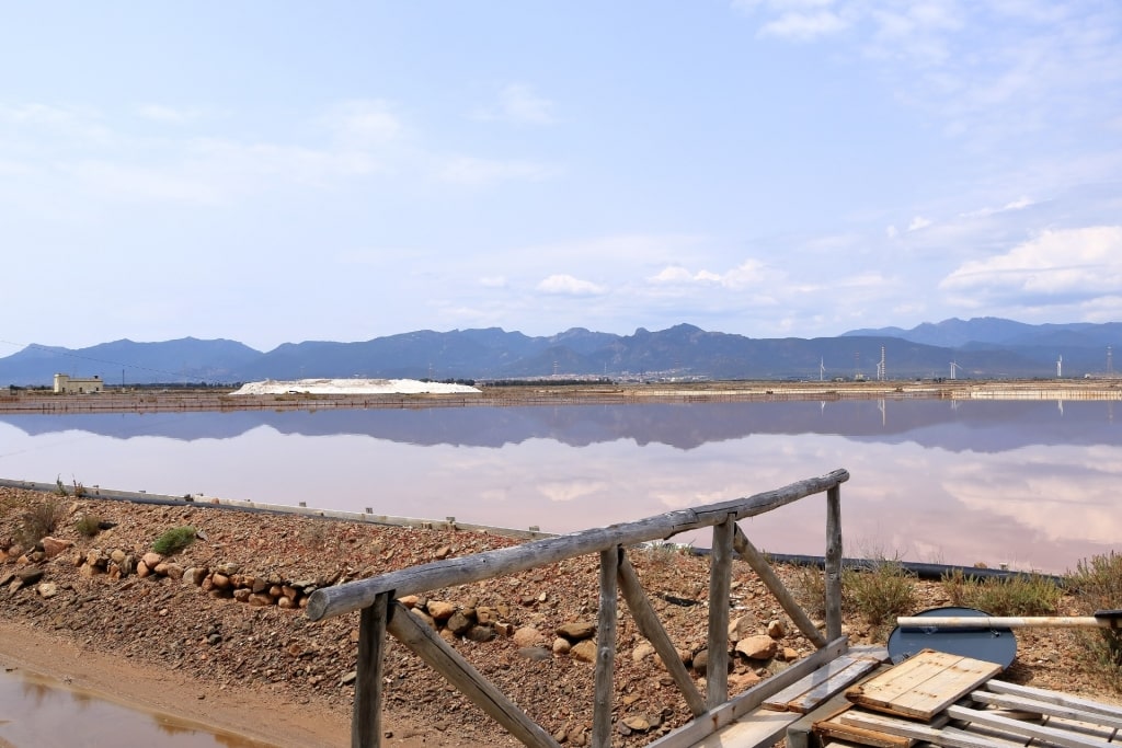 View of Parco Naturale Molentargius Saline, Cagliari