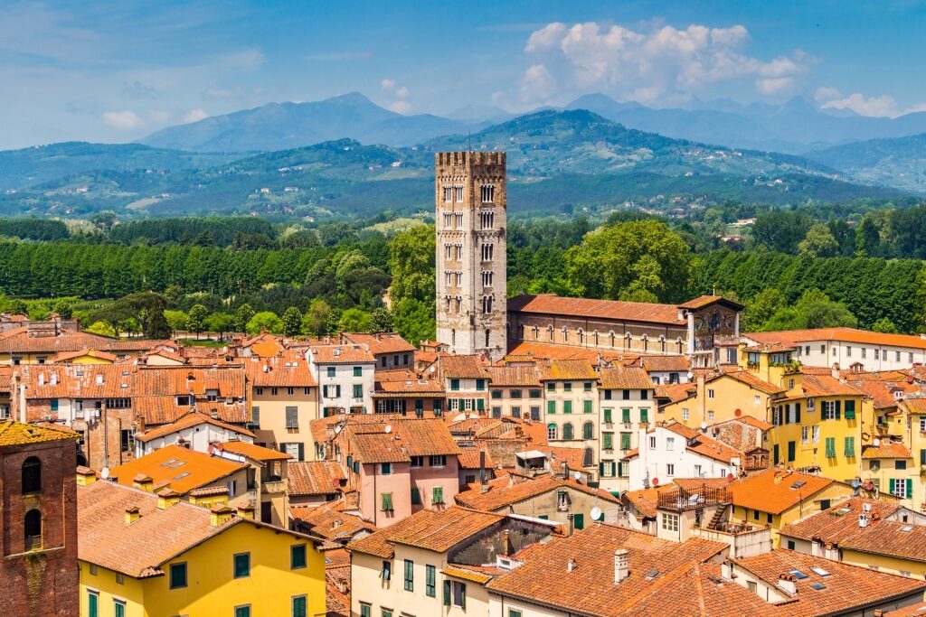 City view of Lucca with Guinigi Tower