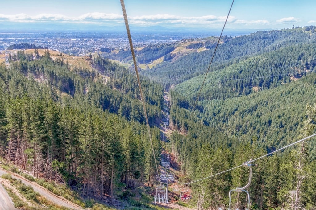 Aerial view from a zipline in Christchurch Adventure Park