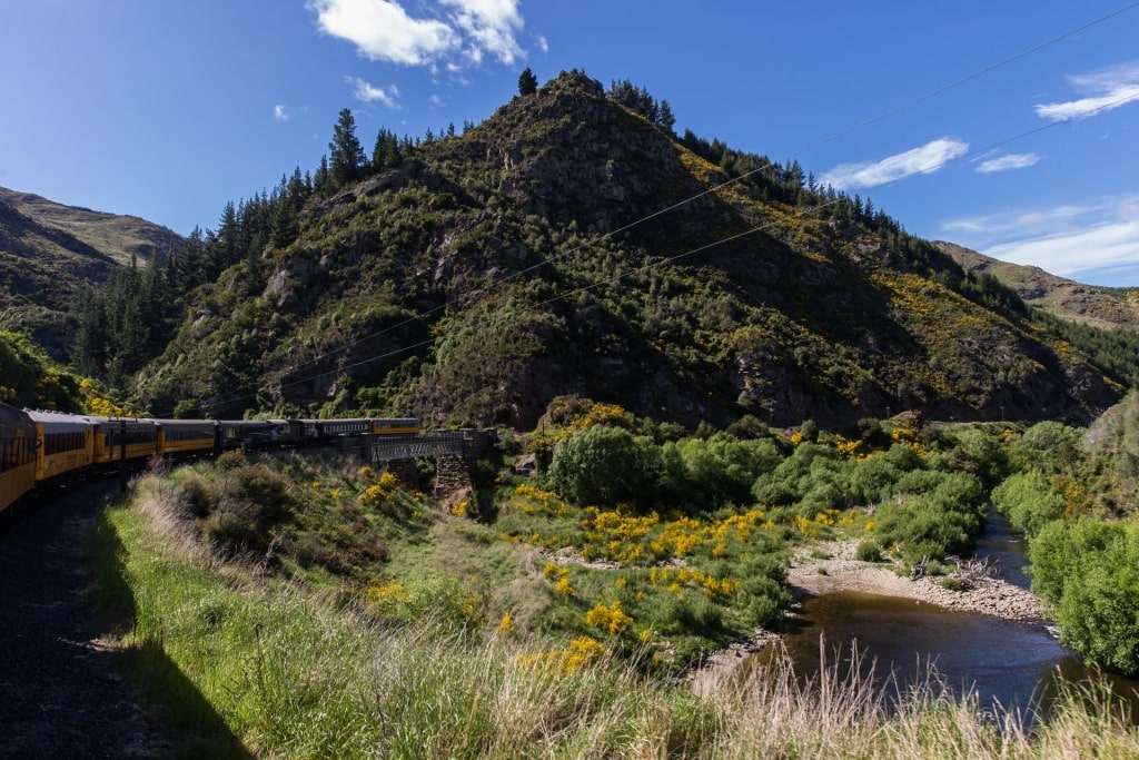 View of Taieri Gorge with train