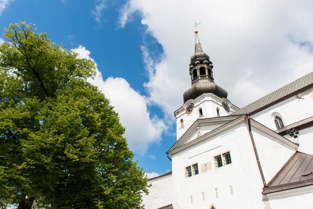 White facade of St Mary's Cathedral