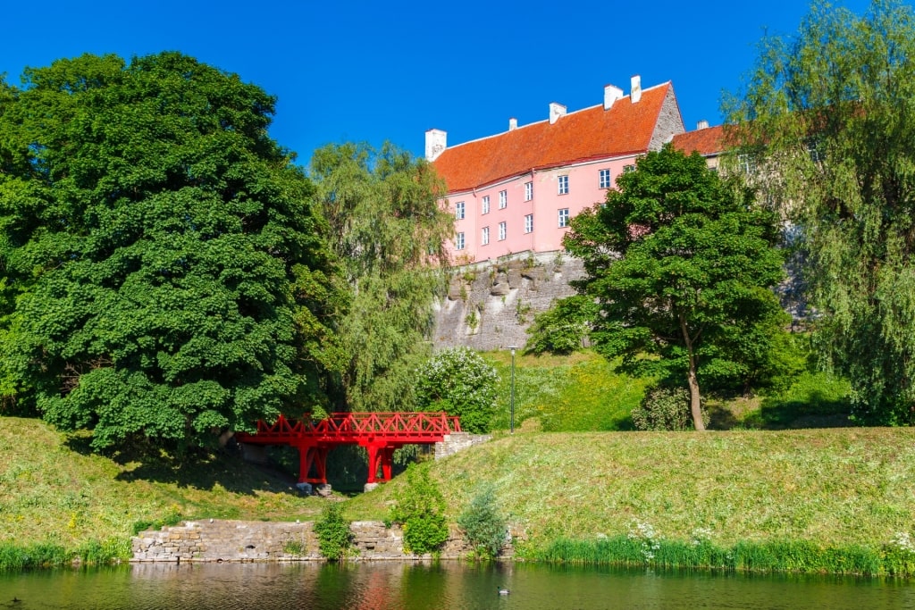 Lush landscape of Toompark