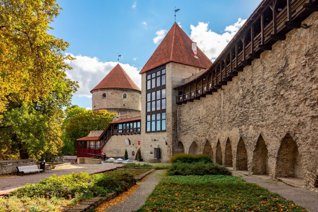 Danish King’s Garden, one of the best things to do in Tallinn