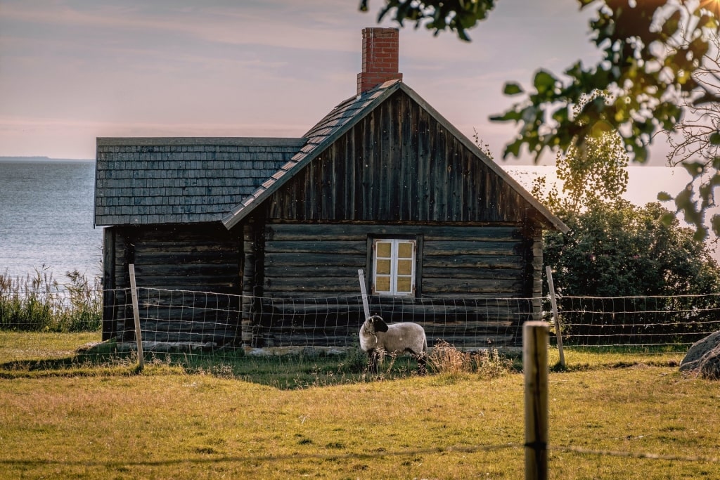 Things to do in Tallinn - Viimsi Open Air Museum