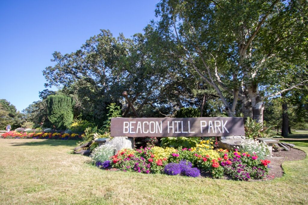 Lush landscape of Beacon Hill Park