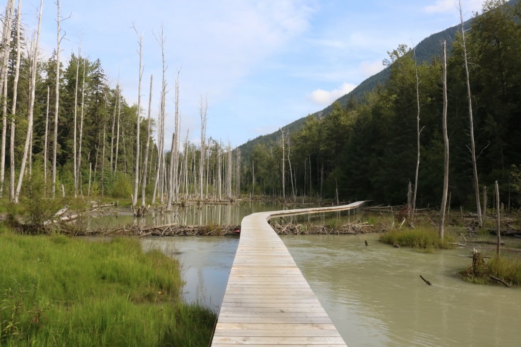 View of the river from Chilkoot Trail