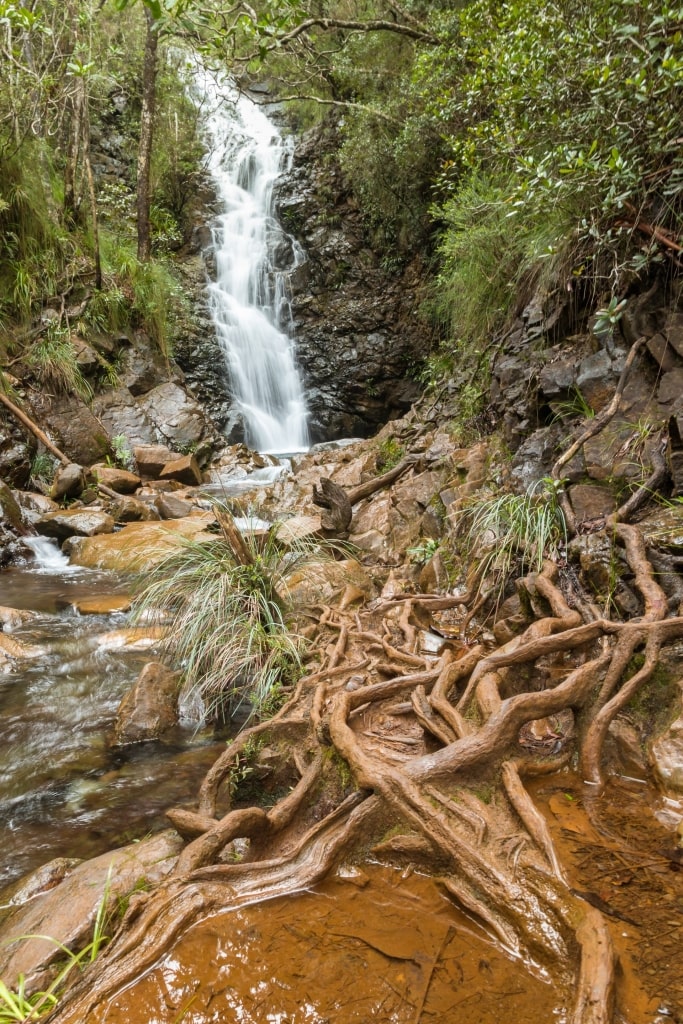 Waterfall in Koghis Forest