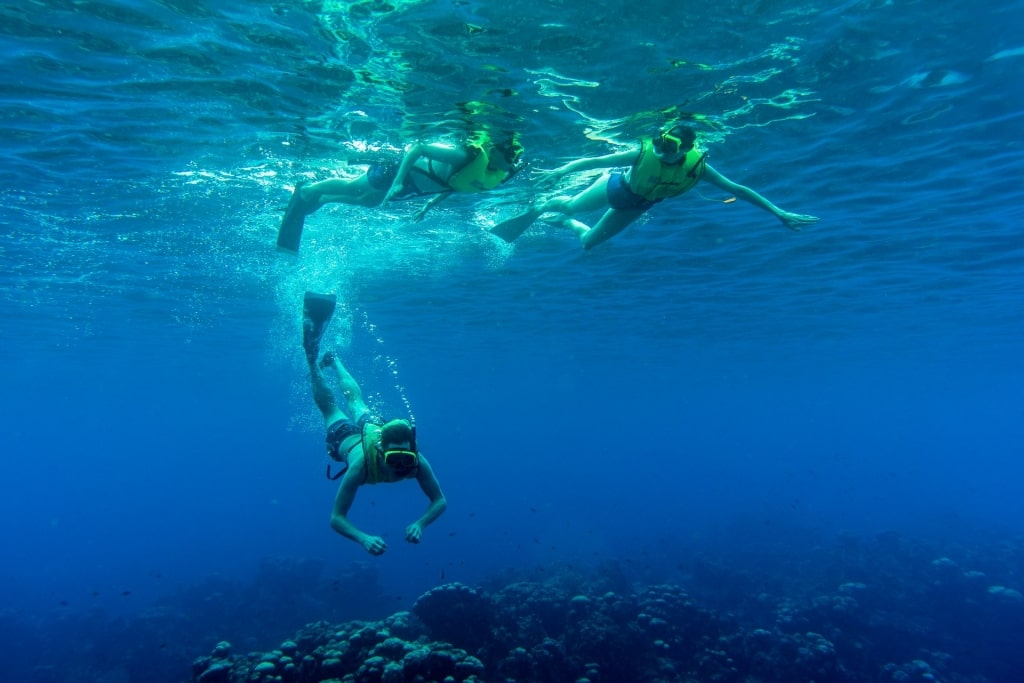 People snorkeling in Grand Cayman