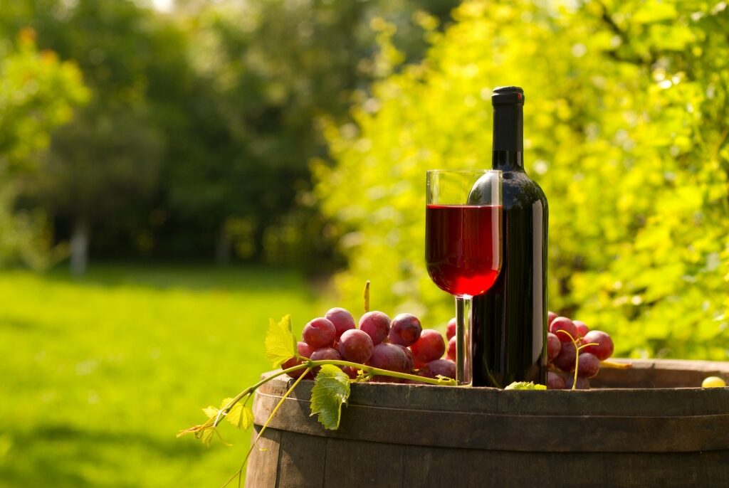 Cabernet Sauvignon wine with grapes