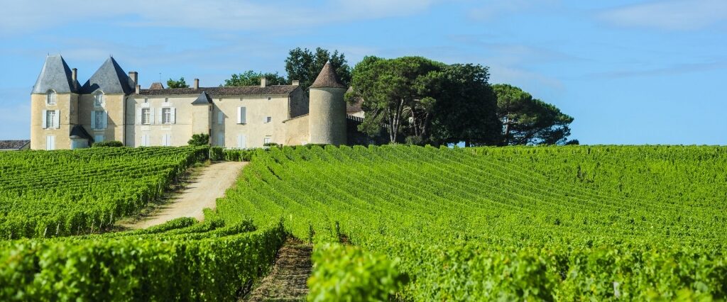 Château d’Yquem, one of the great old estates of the Bordeaux wine region