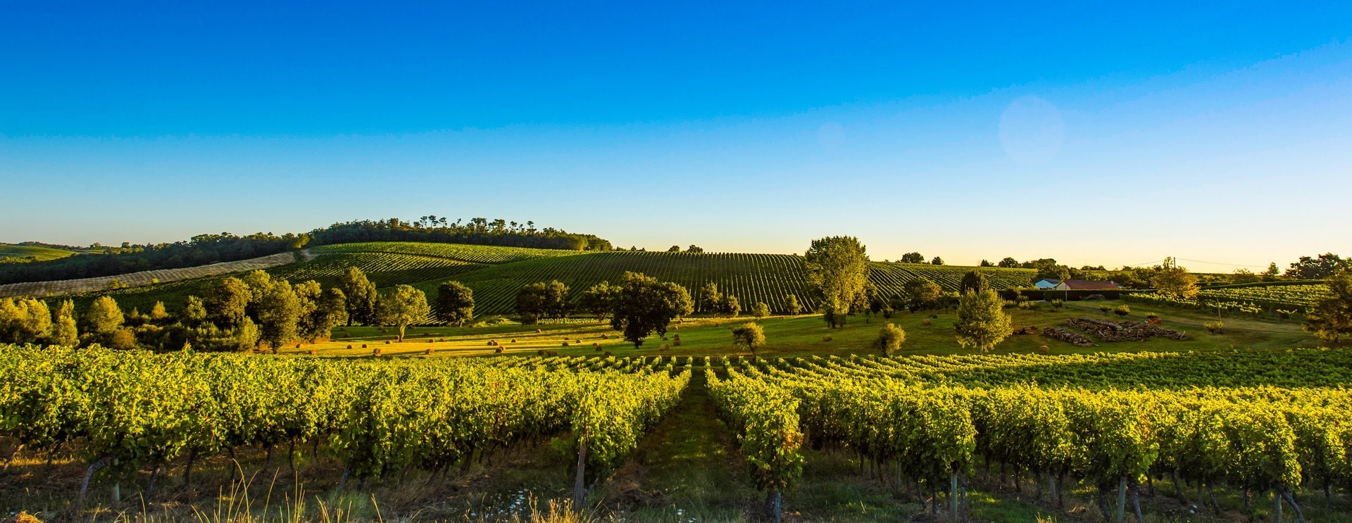 The Ultimate Bordeaux Wine Region Guide | Celebrity Cruises