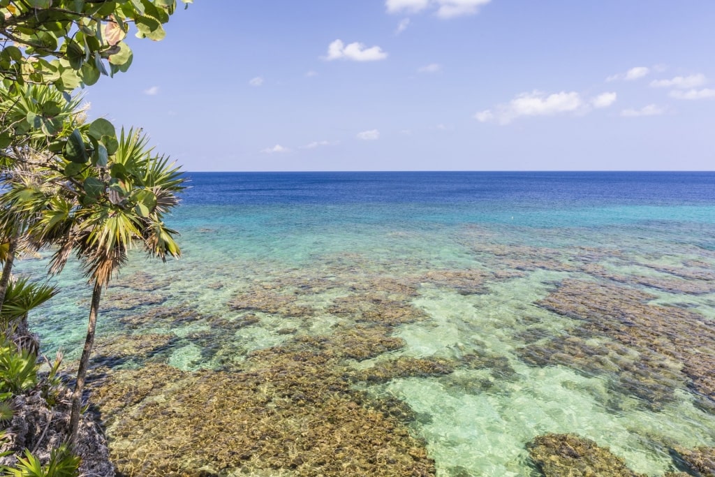 Reefs seen from above the water