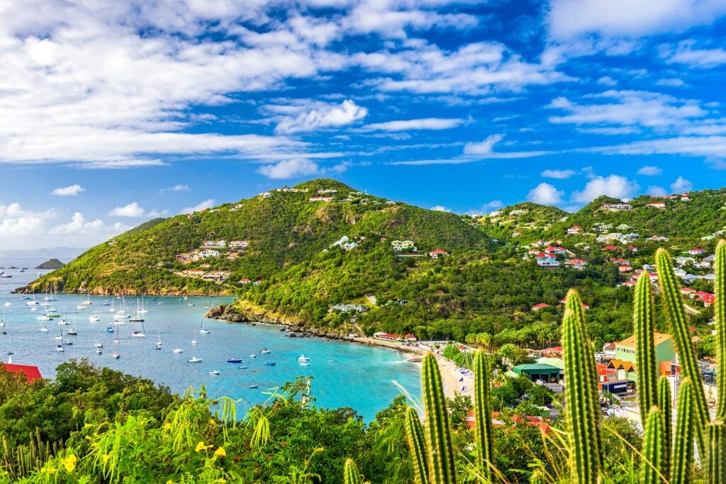 Aerial view of St. Barths with lush mountain