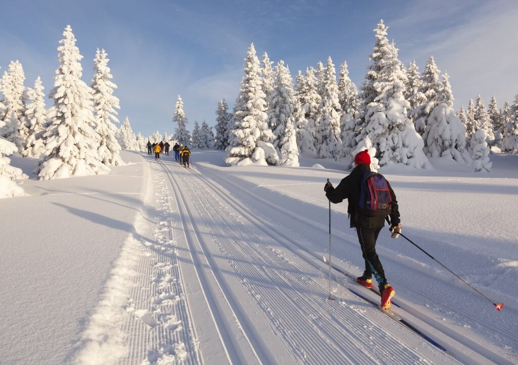 Cross-country skiing in Norway