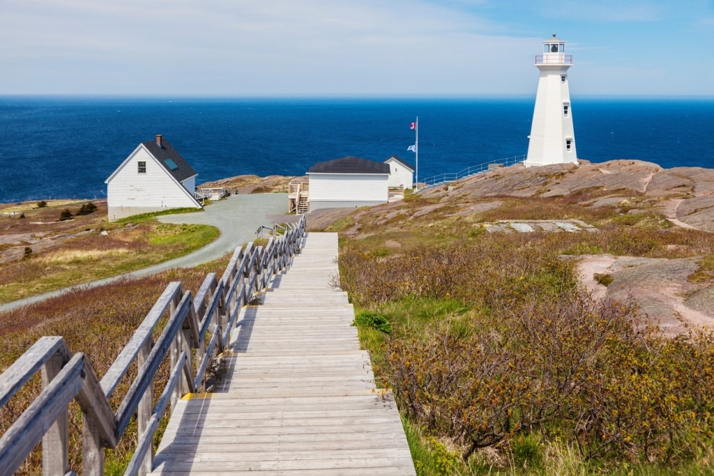 Pathway in Cape Spear with lighthouse