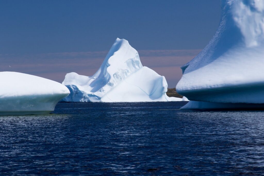 Icebergs floating in Newfoundland