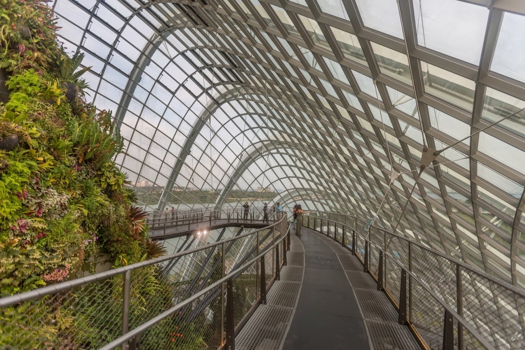 View from Gardens by the Bay in Singapore