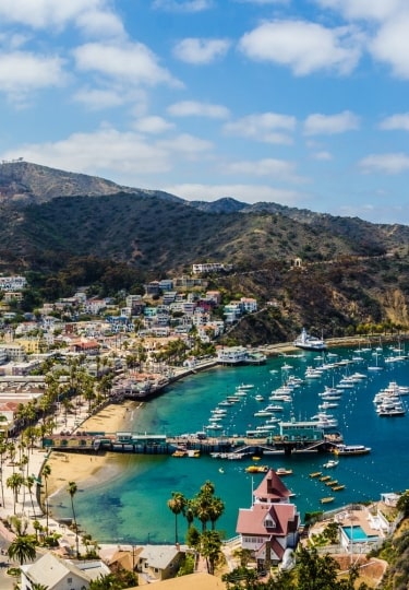 Aerial view of Avalon Harbour, Catalina Island
