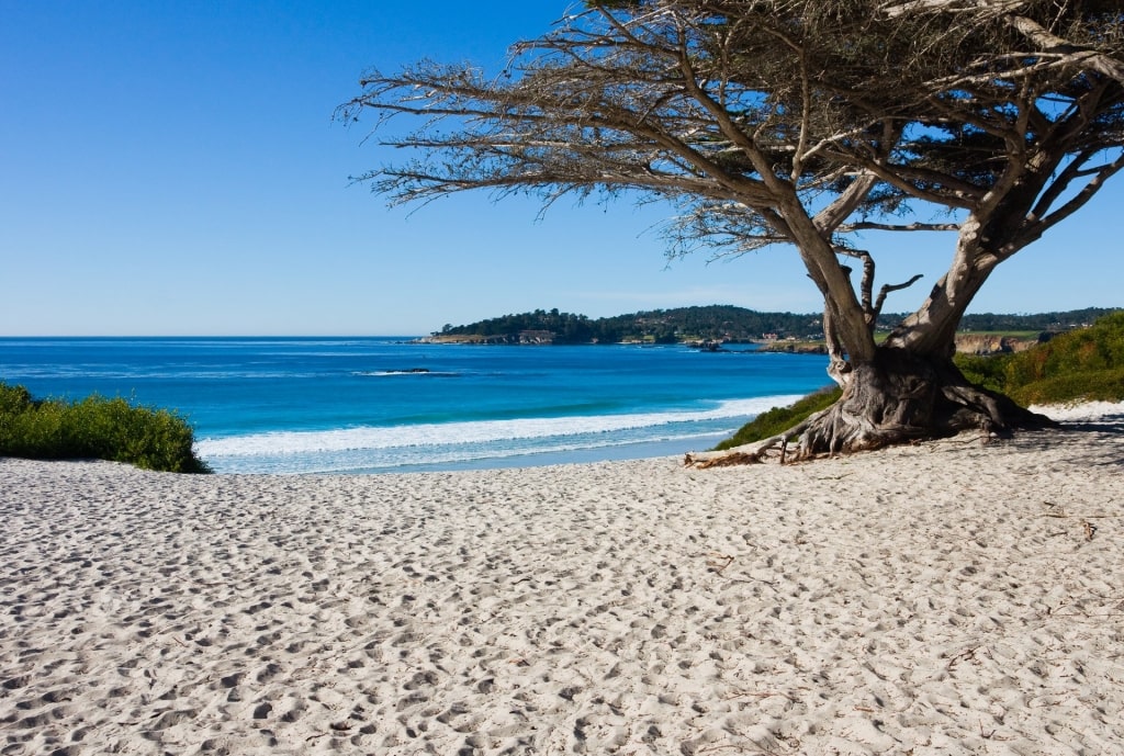 Sandy shore and calm waves of Carmel Beach