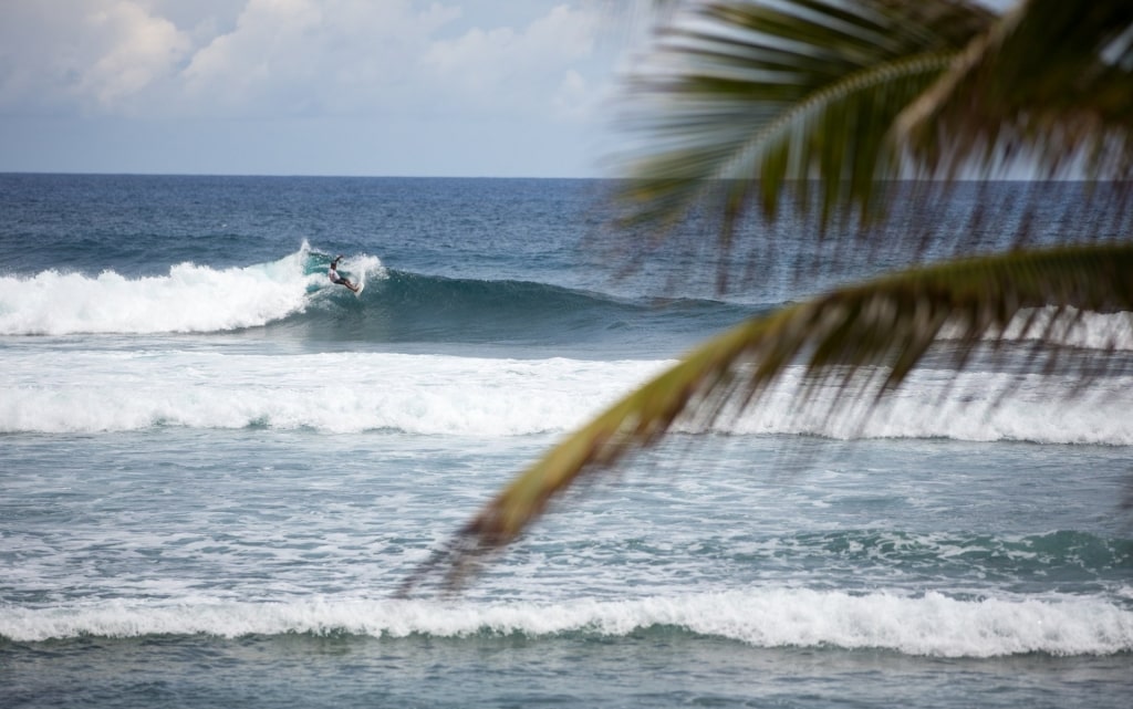 Surfing in the Caribbean - Bathsheba Beach