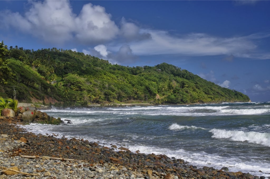 Rocky shoreline of Pagua Bay, Dominica