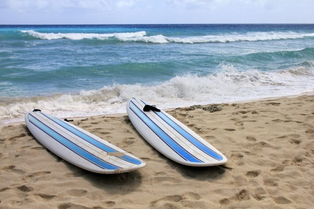 Surfboards along Dover Beach