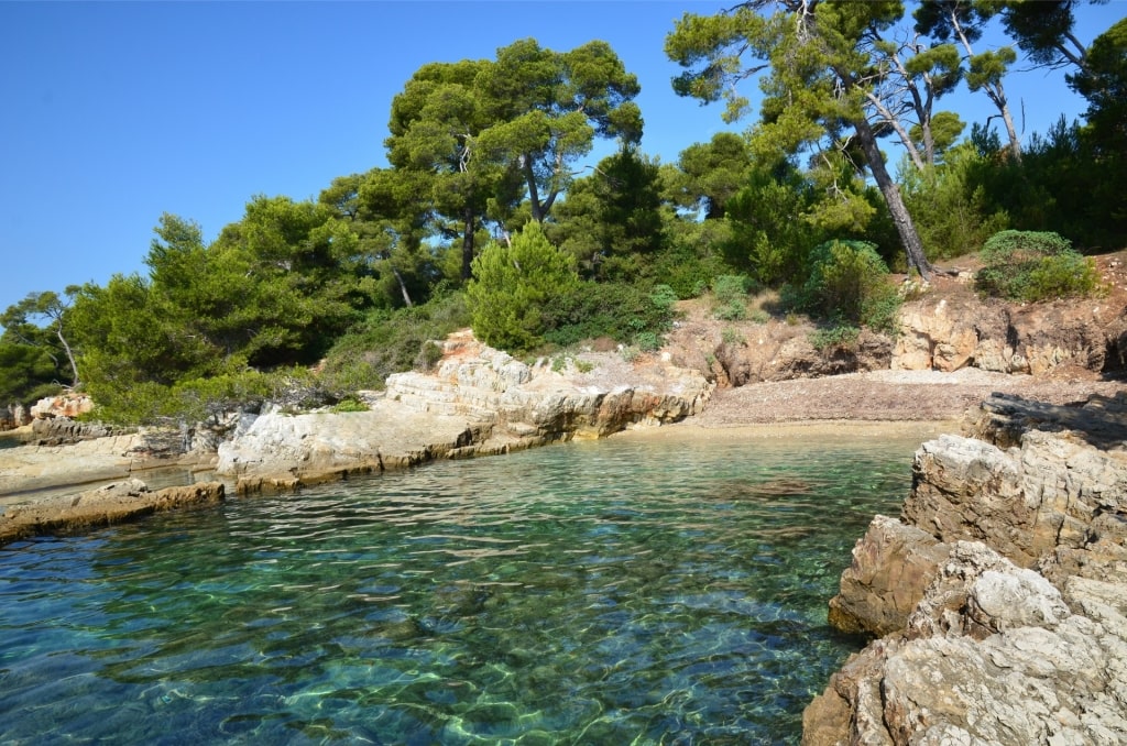 Rocky shoreline of Île Sainte-Marguerite